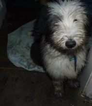 Do you think i need a bath?...........
